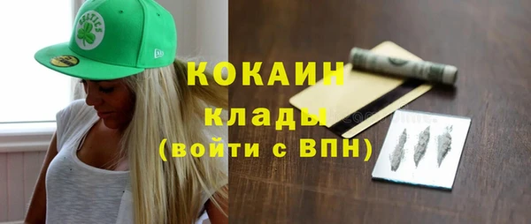 apvp Ельня