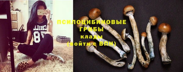 apvp Ельня