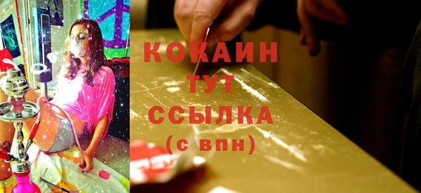 apvp Ельня
