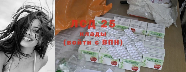 apvp Ельня