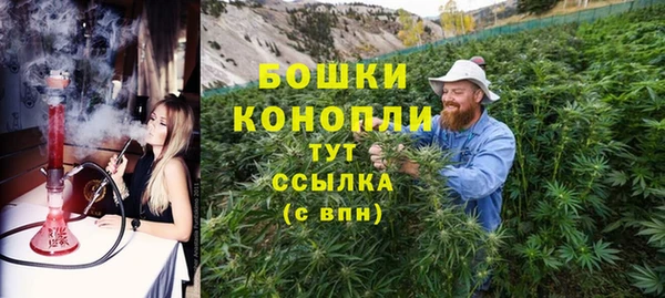 apvp Ельня